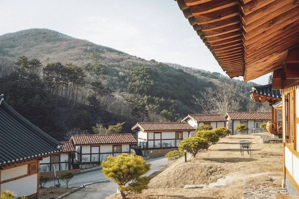 Korean Landscaping