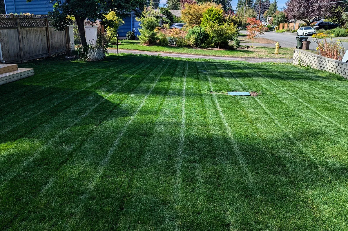Lawn Care Service in Washington Area | Ballinger Landscaping