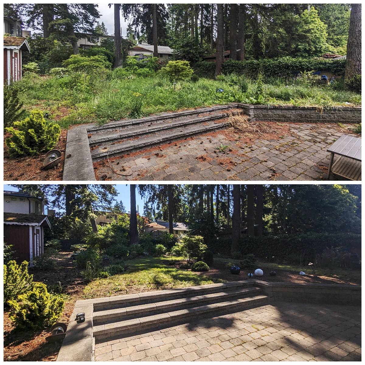 Property Cleanups