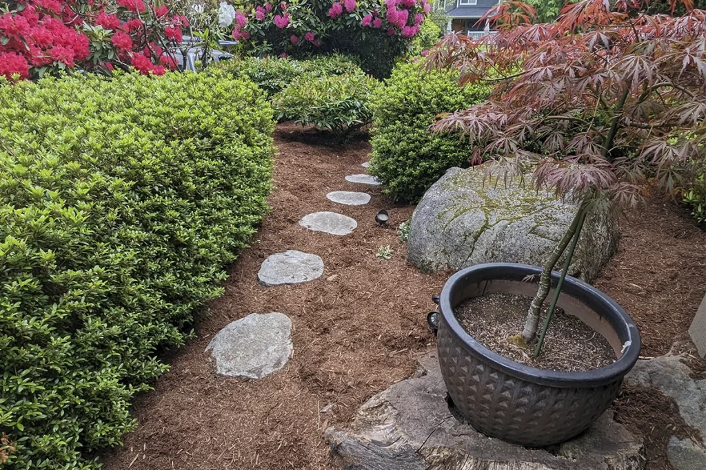 Essential Tips for Fertilizing Your Lawn in Shoreline