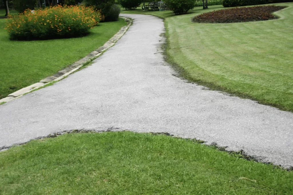 Thicker Lawn in Spring