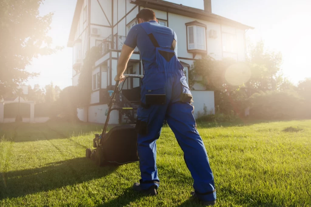 Professional Yard Maintenance