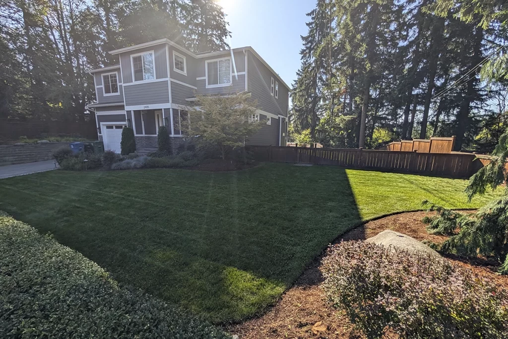 Best Lawn Mowing Practices for Healthy Summer Grass - Shoreline