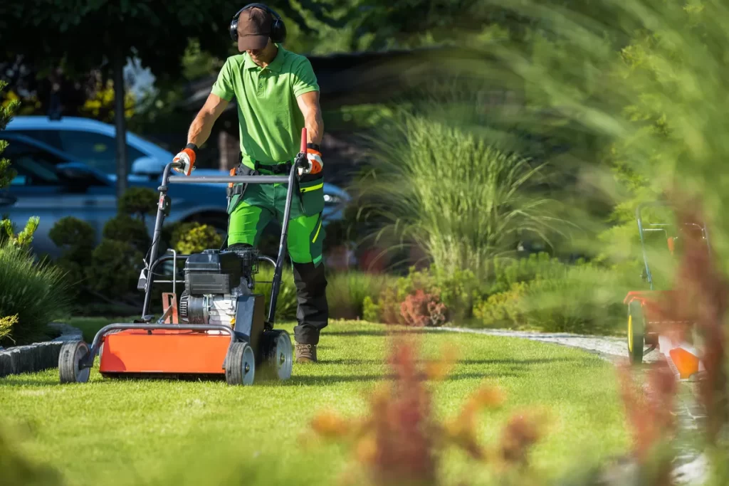 Residential Landscaping Near Me: 12 Questions to Ask in Shoreline