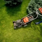 When to schedule yard cleanup in Washington for best results?