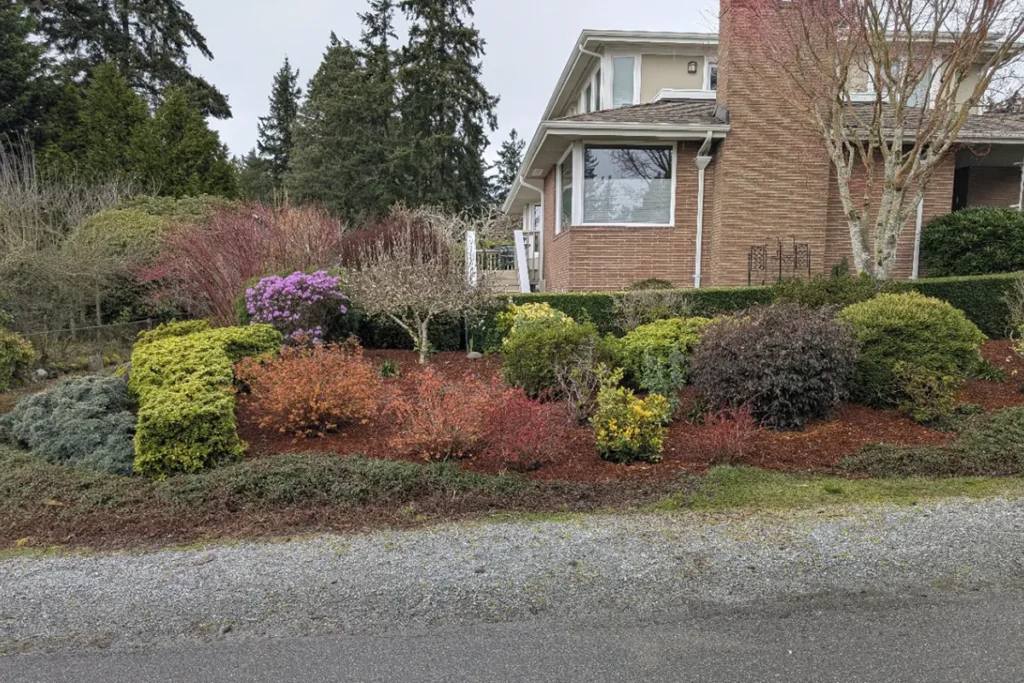 6 Soil problems you need to fix before starting your landscape construction project