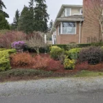 6 Soil problems you need to fix before starting your landscape construction project